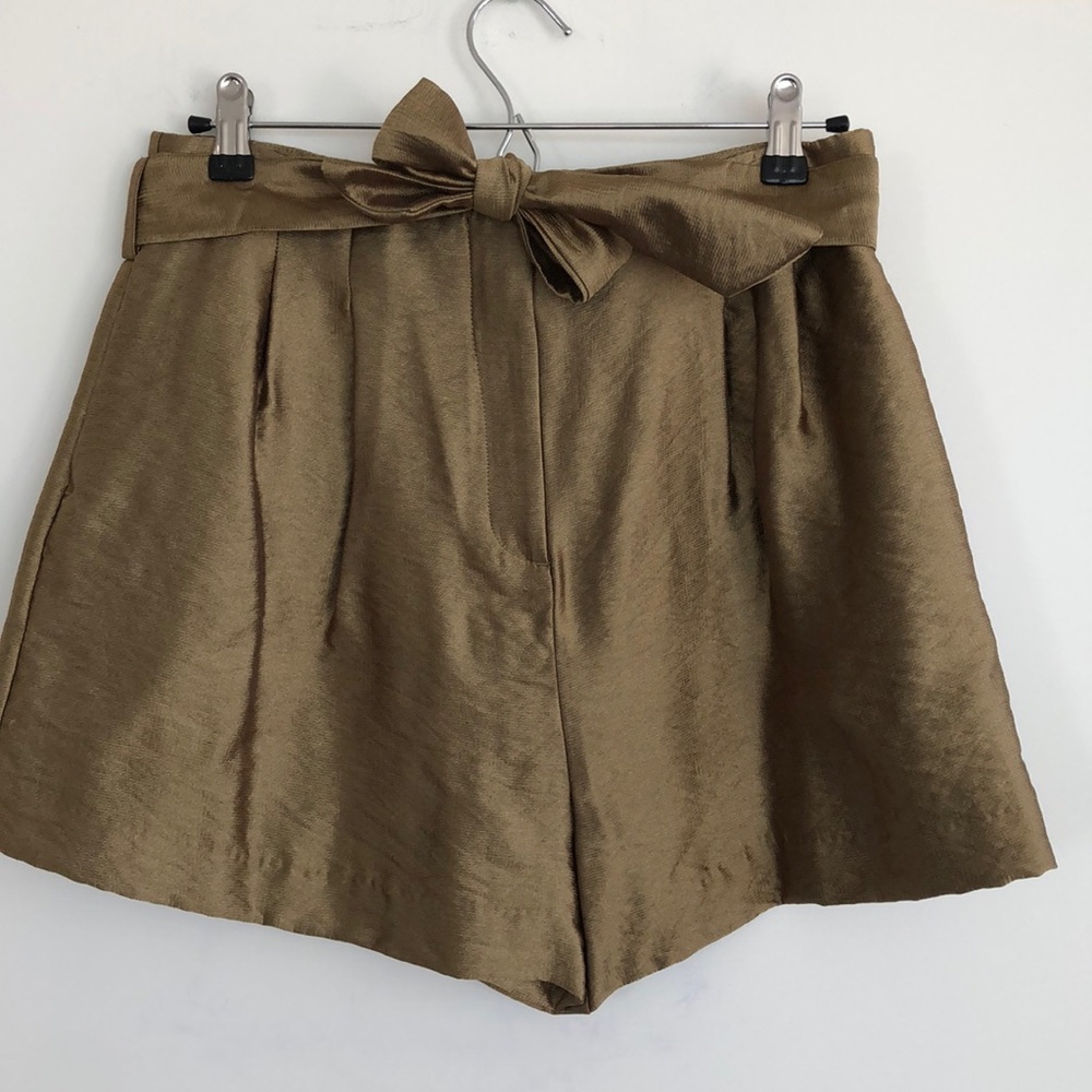 Zara shorts